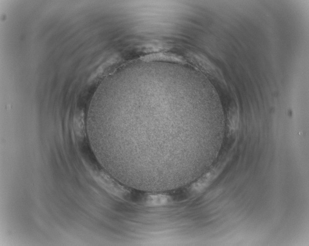 X0000070370376200606161323