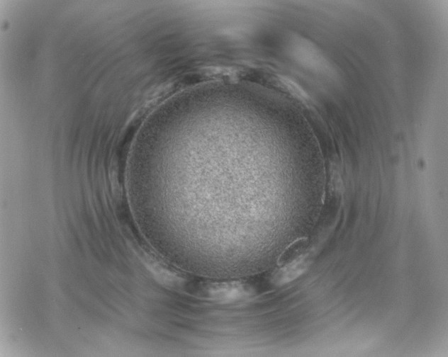 X0000070370377200606161323