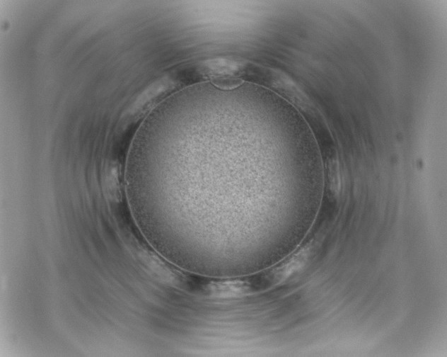 X0000070370378200606161323