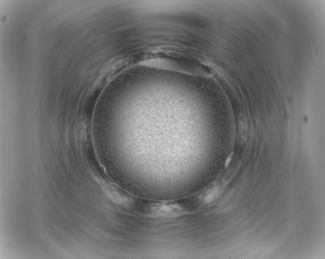 X0000070370379200606161323