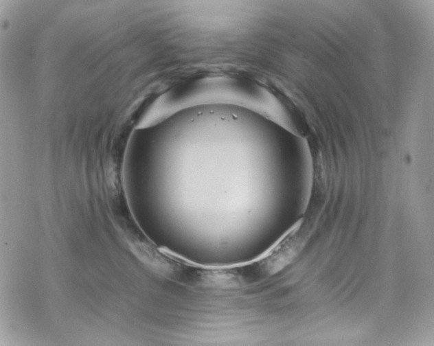 X0000070370380200606161323