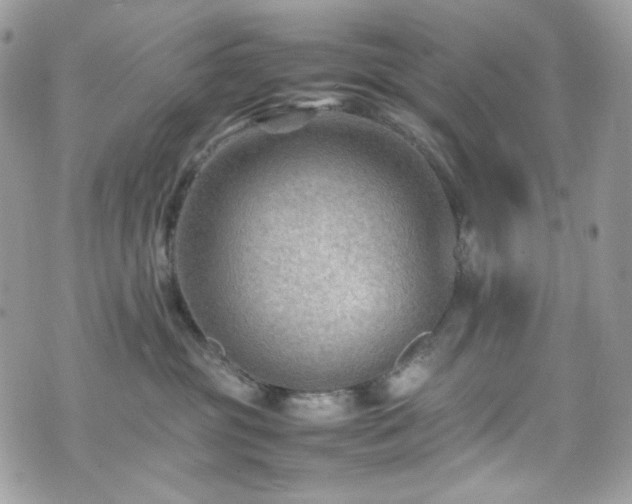 X0000070370381200606161323