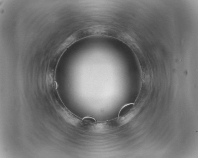 X0000070370382200606161323