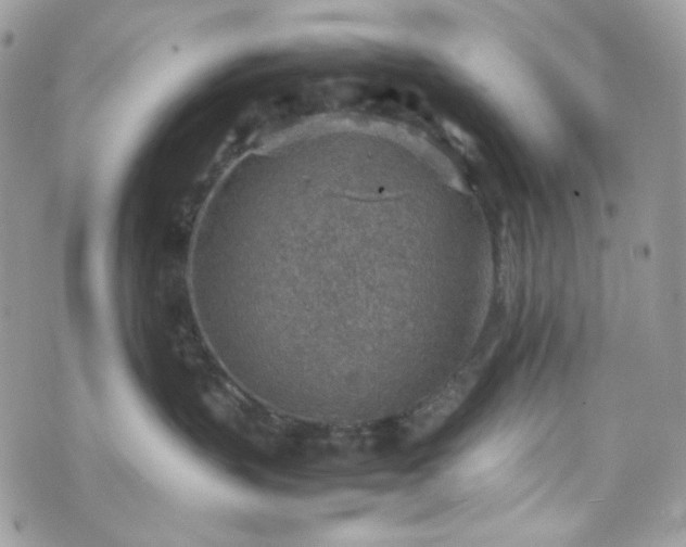 X0000070370383200606161323