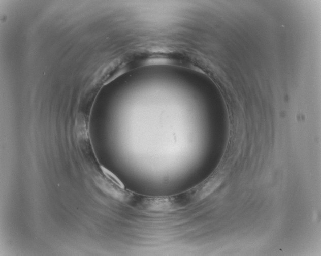 X0000070370384200606161323