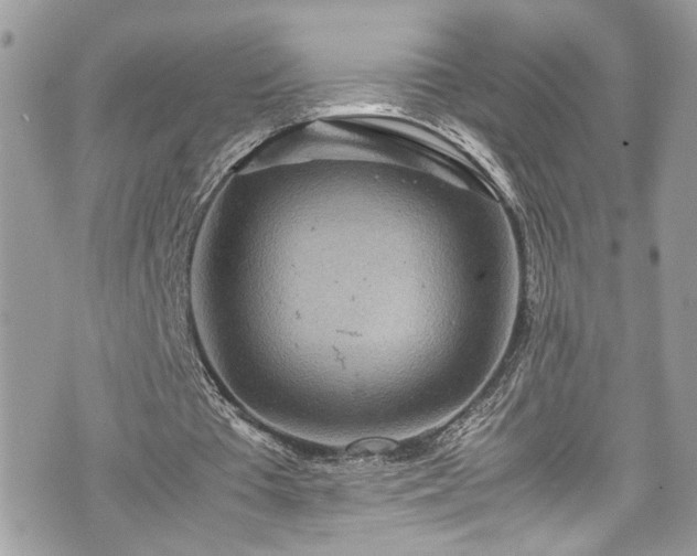 X0000070370385200606161323