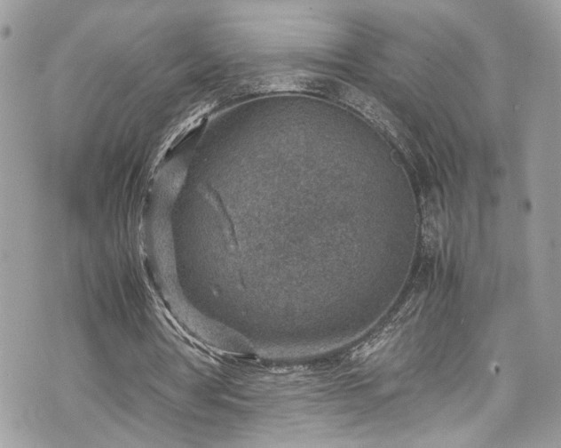 X0000070370386200606161323