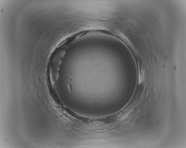 X0000070370387200606161323