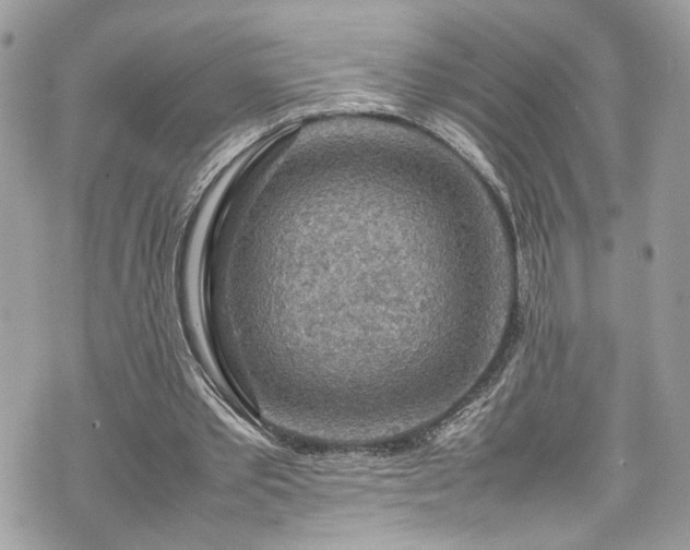 X0000070370389200606161323