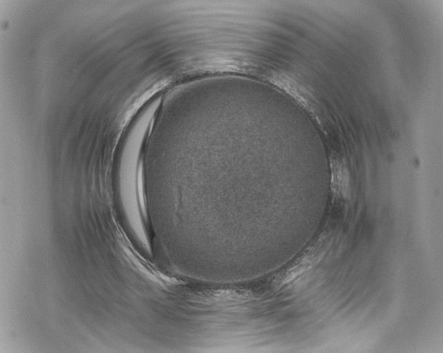 X0000070370390200606161323