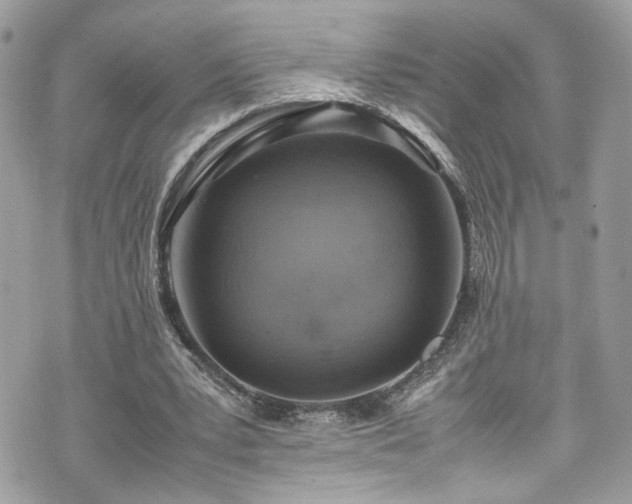 X0000070370391200606161322