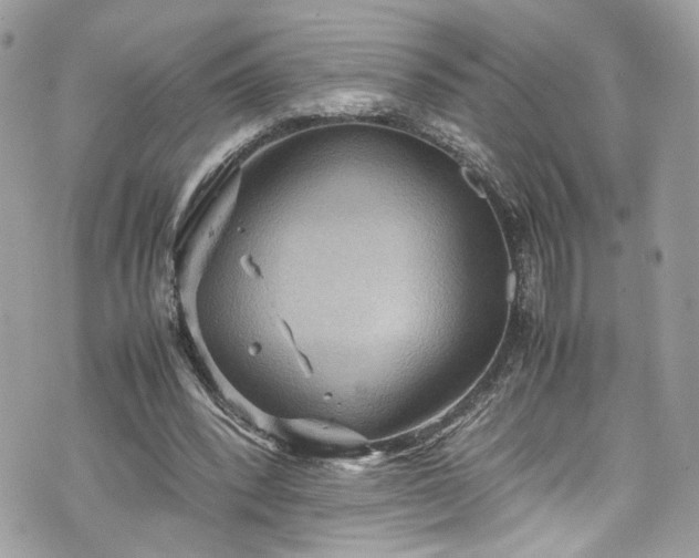 X0000070370392200606161322