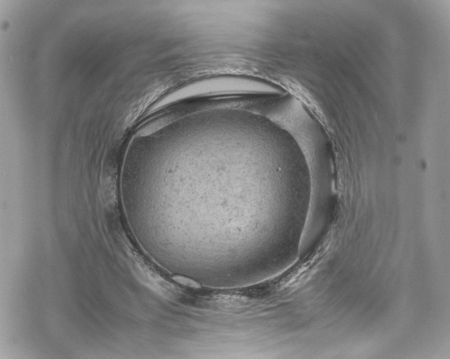 X0000070370393200606161322