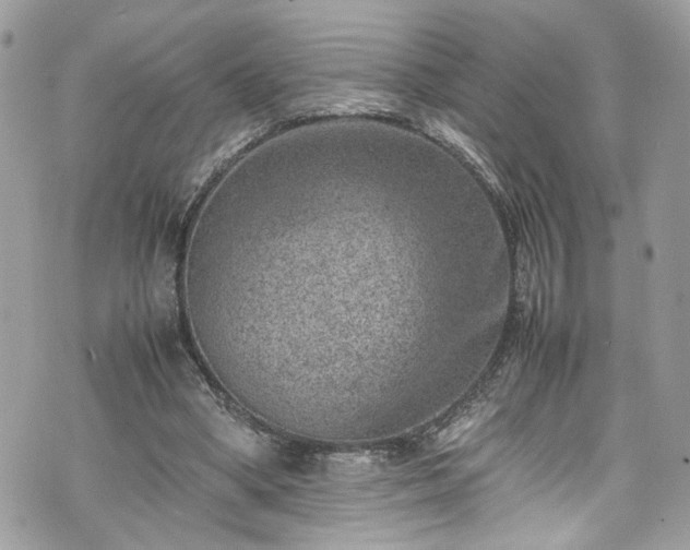 X0000070370394200606161322