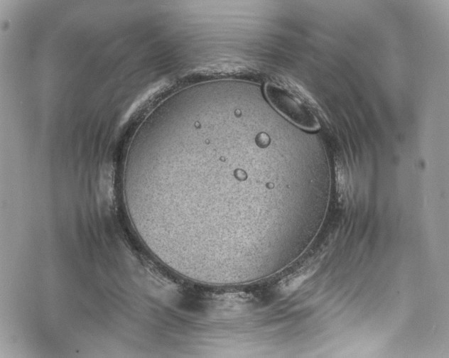 X0000070370396200606161322