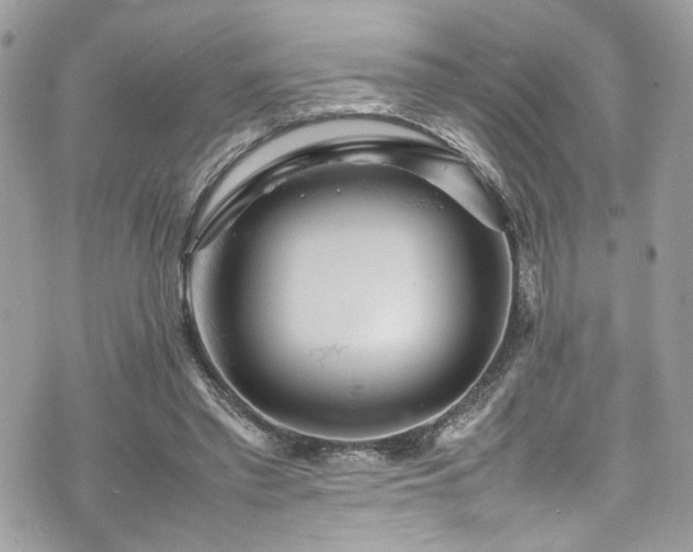 X0000070370397200606161322