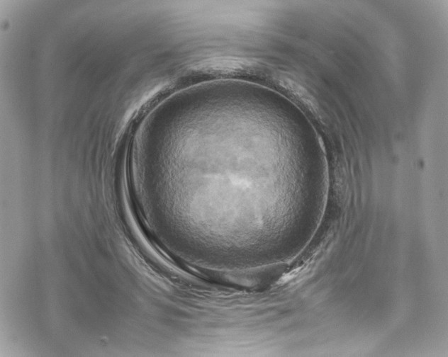 X0000070370399200606161322