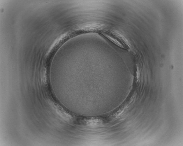 X0000070370400200606161322