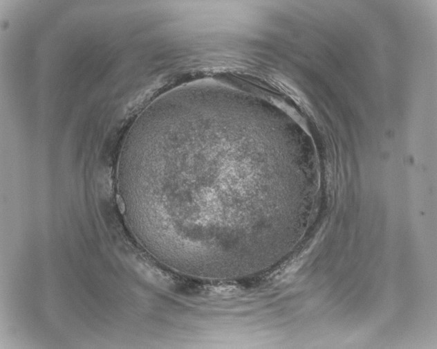 X0000070370401200606161322