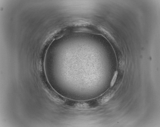 X0000070370403200606161322