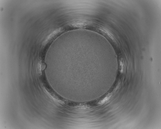 X0000070370404200606161322