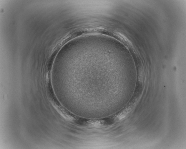 X0000070370405200606161322