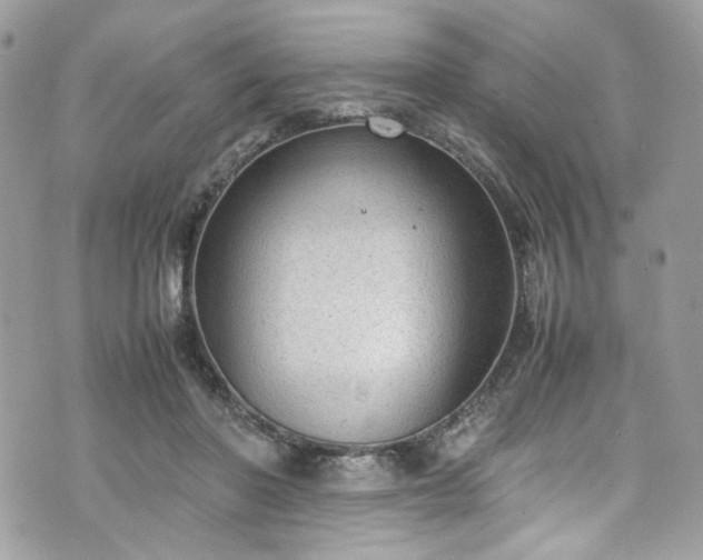 X0000070370406200606161322