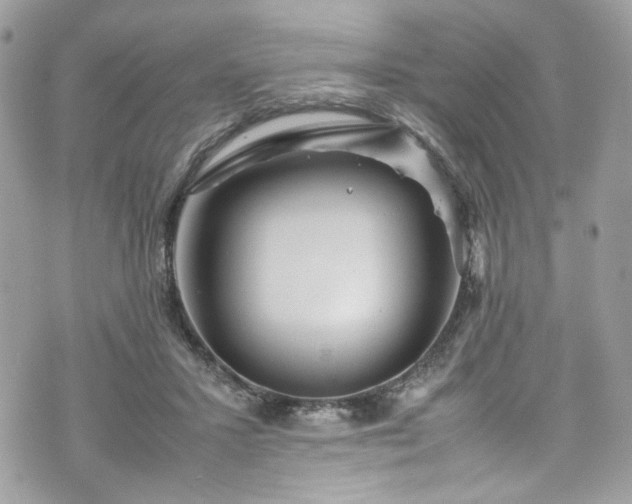 X0000070370407200606161322