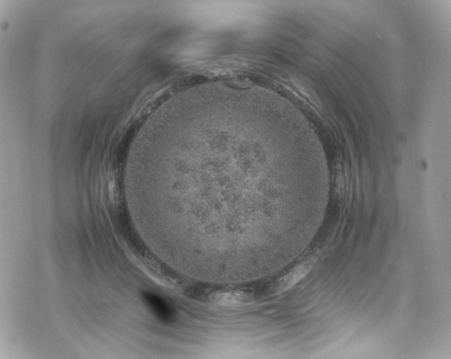 X0000070370408200606161322