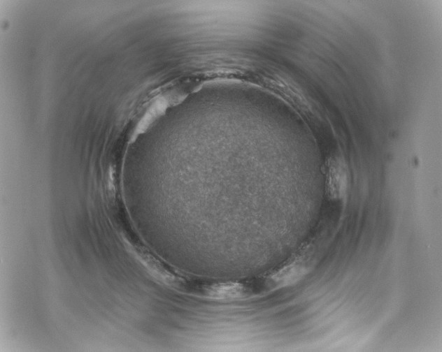 X0000070370410200606161322