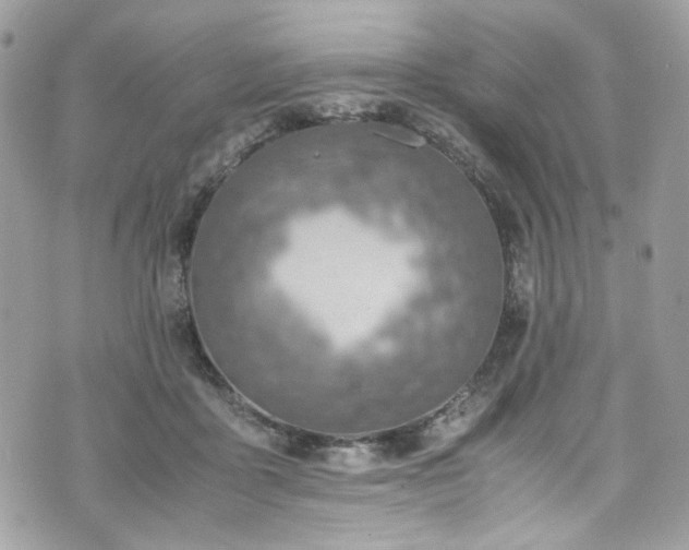 X0000070370411200606161322