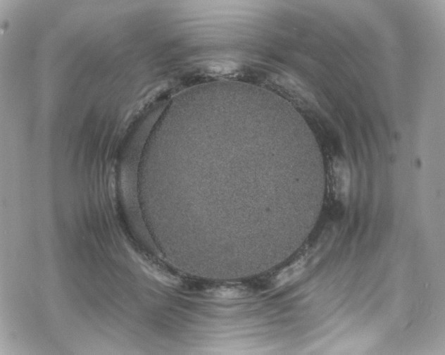 X0000070370412200606161322