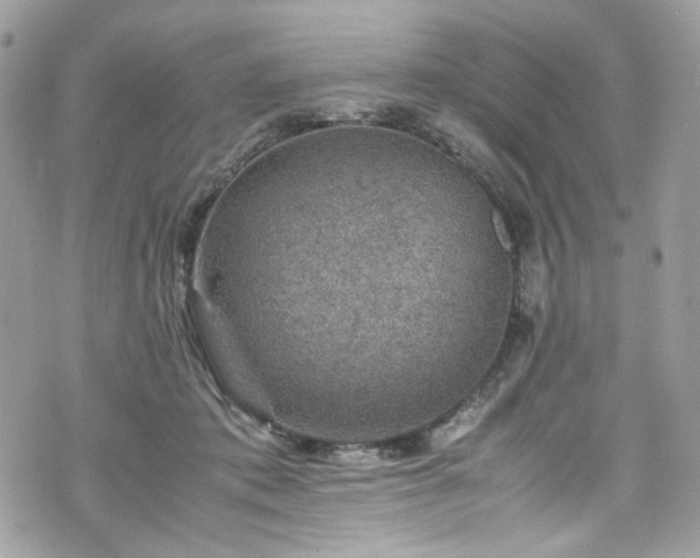 X0000070370413200606161322