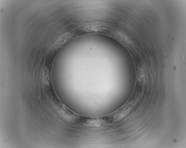 X0000070370414200606161322