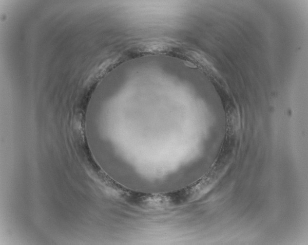 X0000070370415200606161322