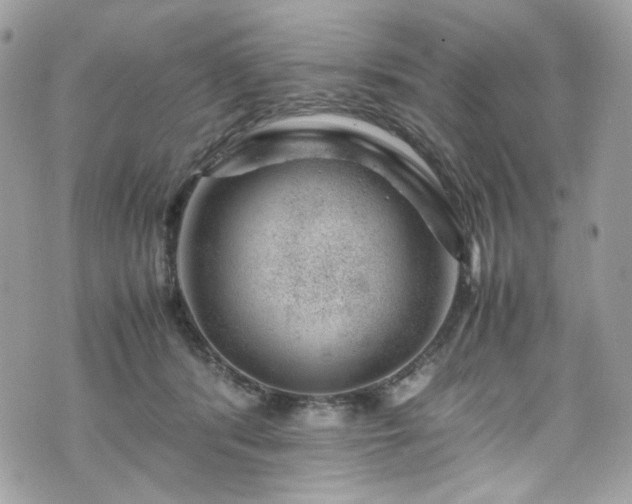 X0000070370416200606161322