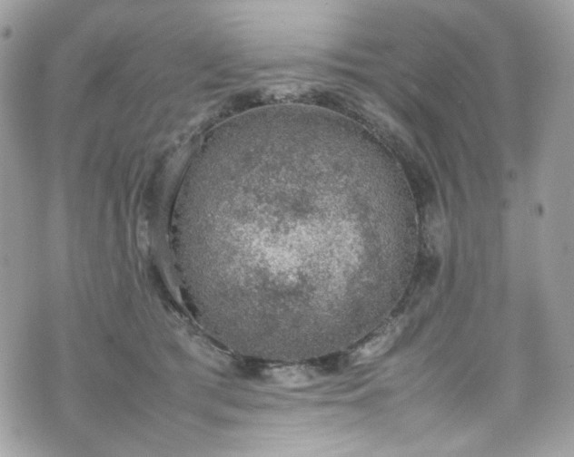 X0000070370417200606161322