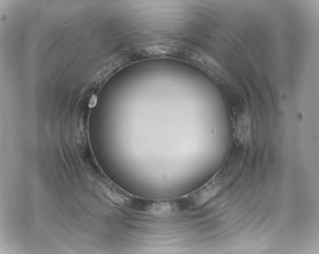 X0000070370418200606161322