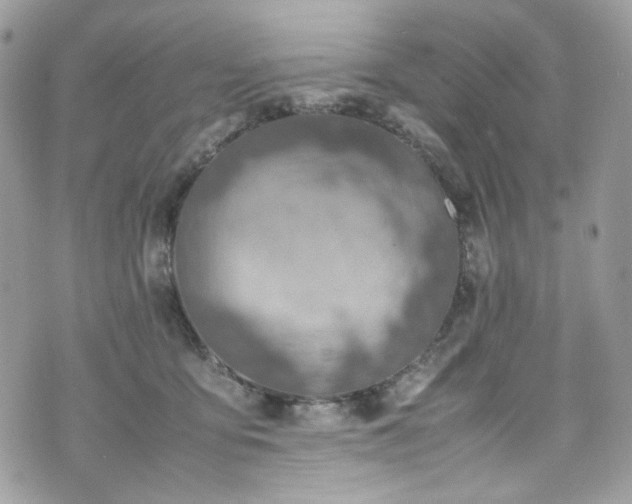 X0000070370419200606161322