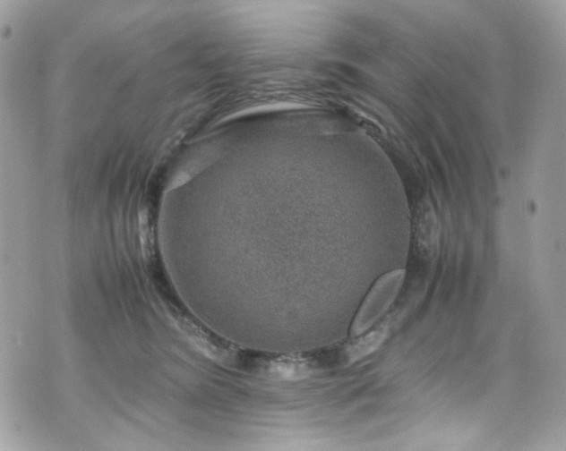 X0000070370420200606161322