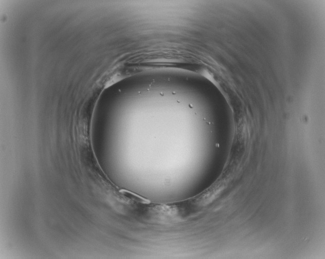 X0000070370421200606161322