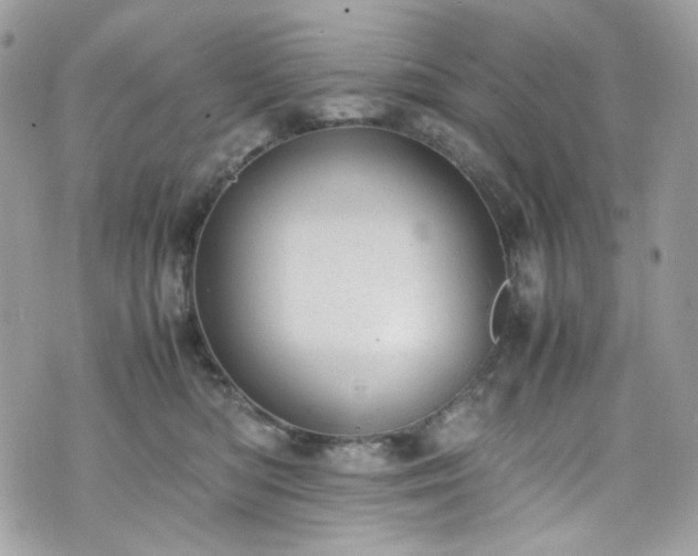 X0000070370422200606161322