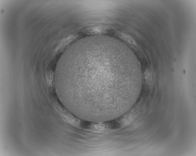 X0000070370423200606161322