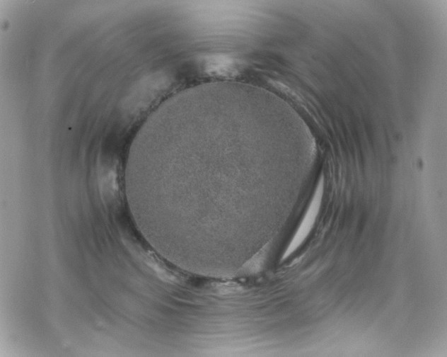 X0000070370424200606161322