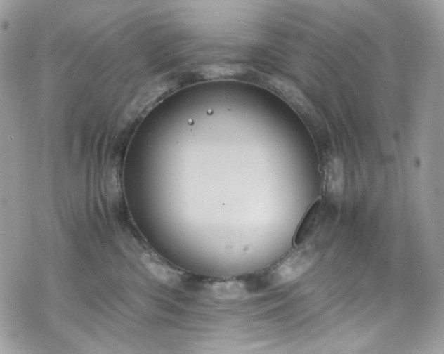 X0000070370426200606161322