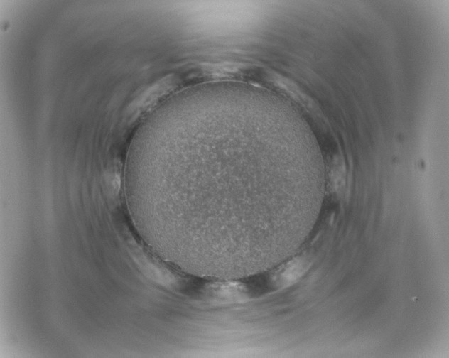 X0000070370427200606161322