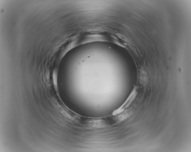 X0000070370428200606161322