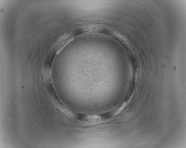 X0000070370429200606161322