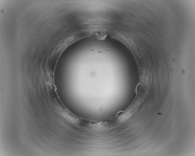 X0000070370430200606161322