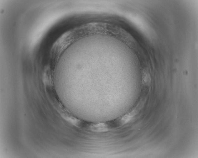 X0000070370431200606161322